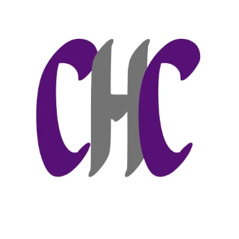 Camarines Holdings Corporation 